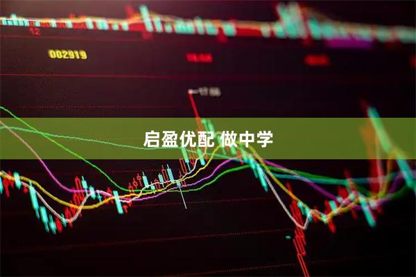 启盈优配 做中学